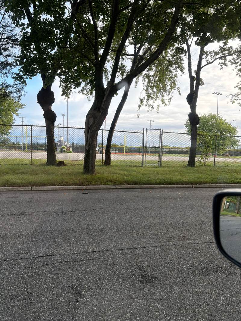 walking near me in Daniel J. Flynn Memorial Park in summer
