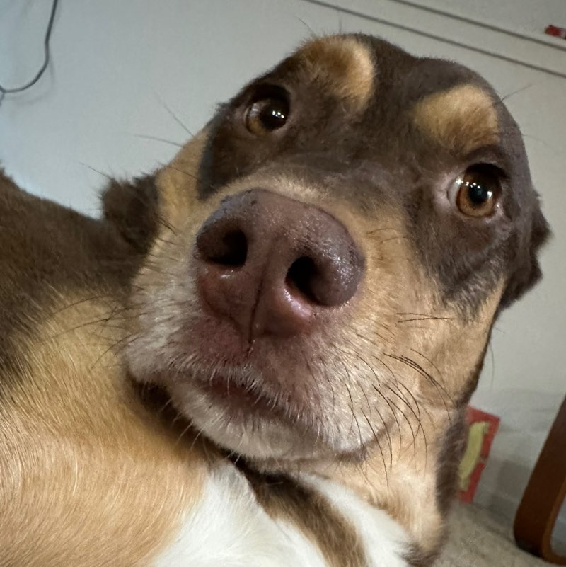 jaci profile
