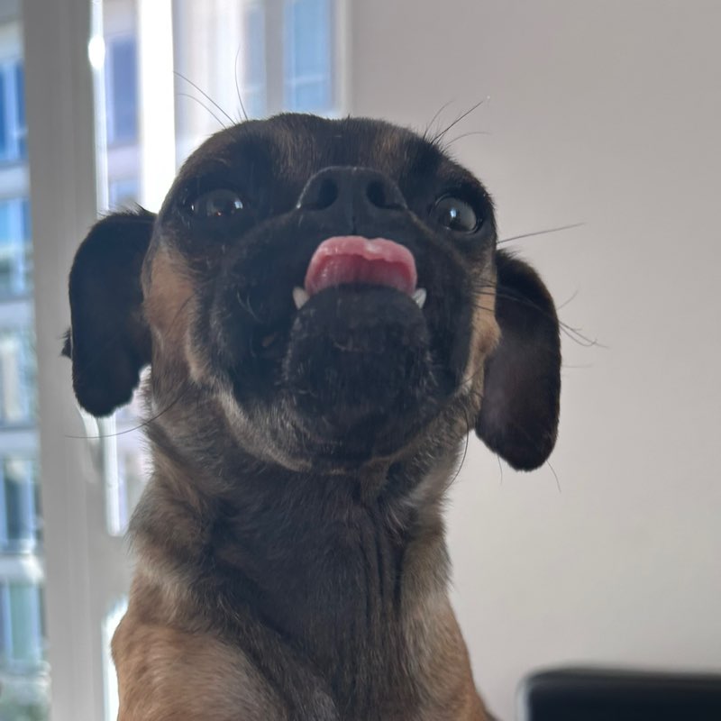 Felipe profile