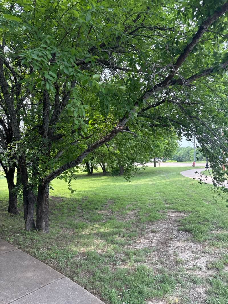 walking near me in Zadow Park in spring