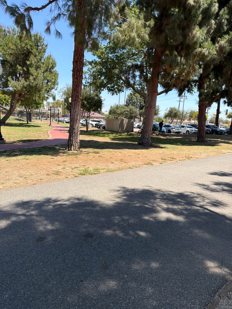 walking near me in Rosemead Park in summer