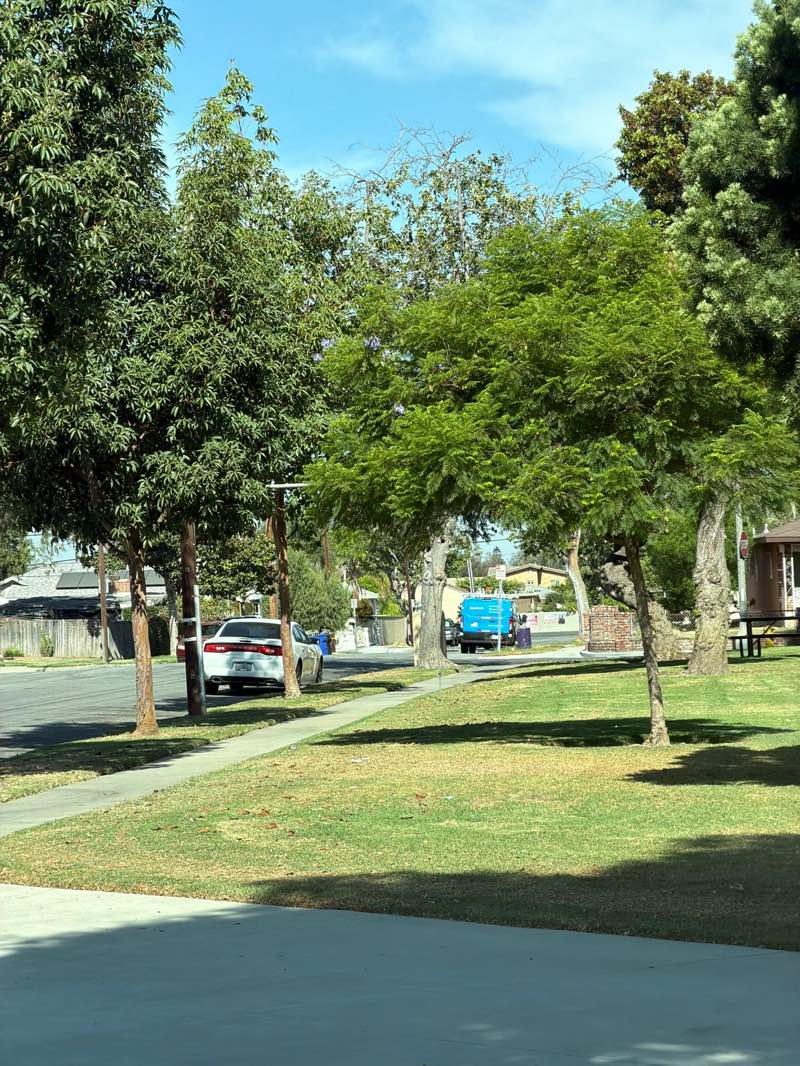 walking near me in Los Nietos Park in summer