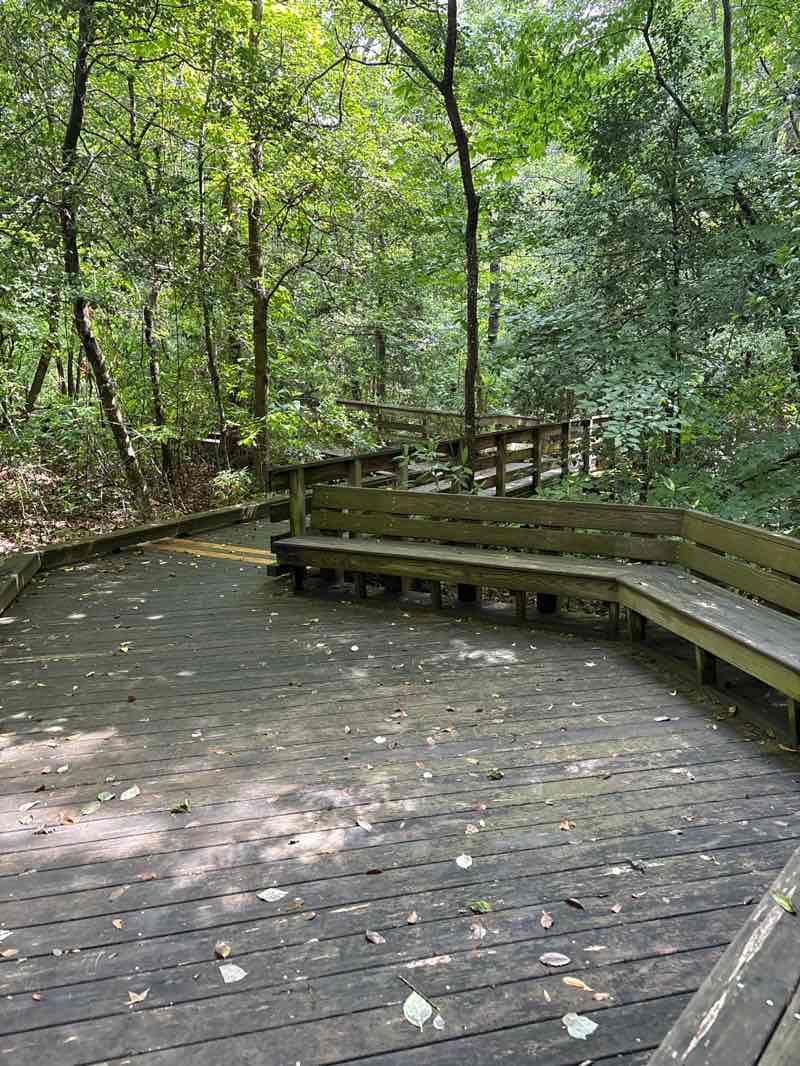 walking near me in Discovery Gardens of Onslow in summer