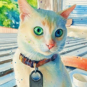Jezah profile