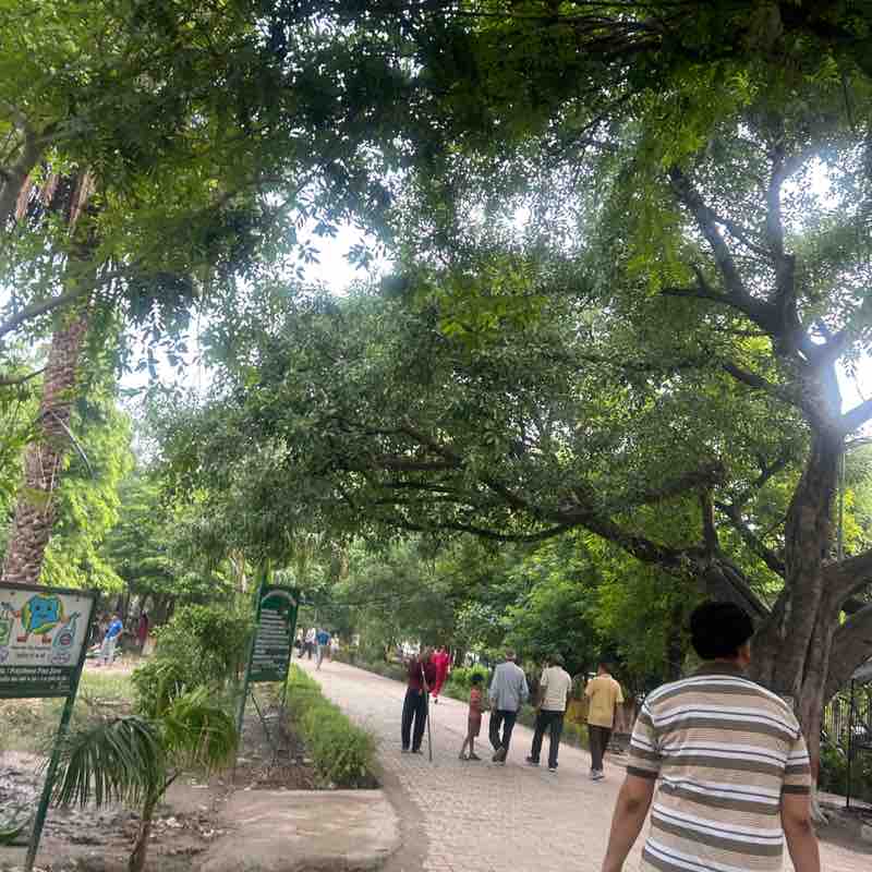 Dr. Gayatri post 2