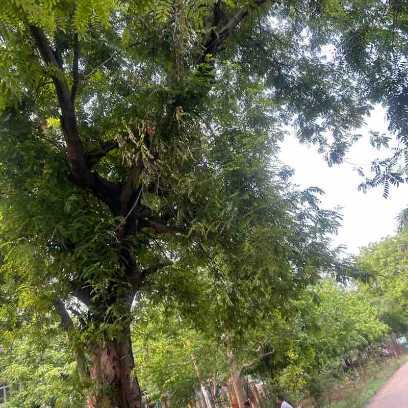 Dr. Gayatri post 3