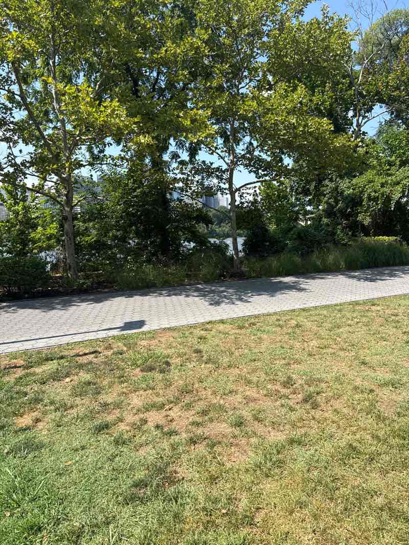 walking near me in Georgetown Waterfront Park in summer