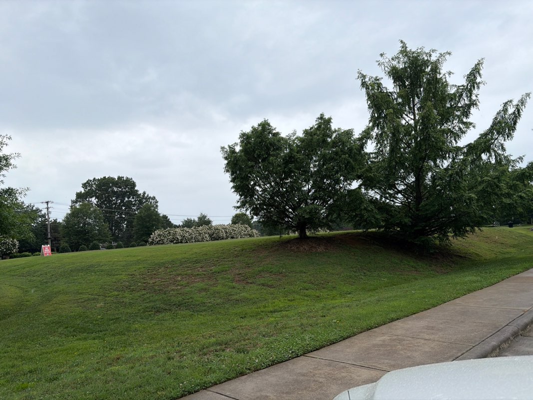 walking near me in Robbins Park in summer