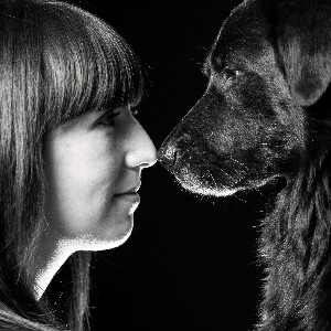 Sophie profile