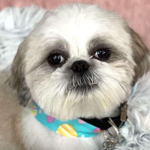 Rita Kapitzky profile