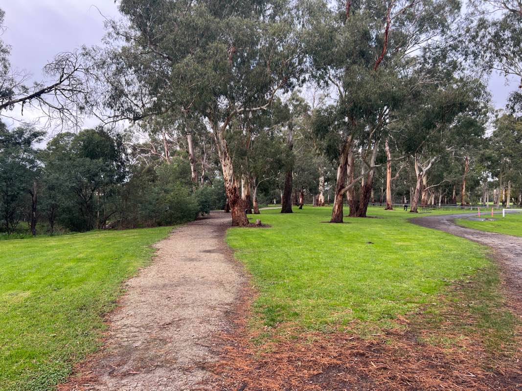 walking near me in Beaconsfield Recreational Reserve in winter