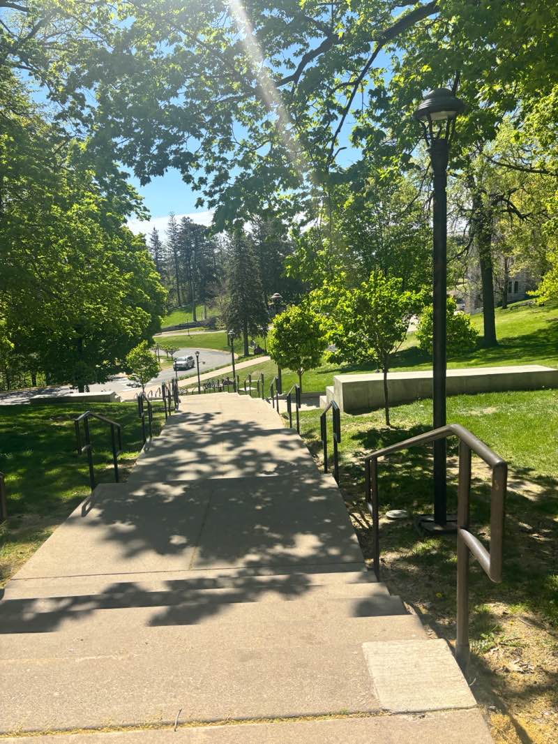 walking near me in Way Park in spring