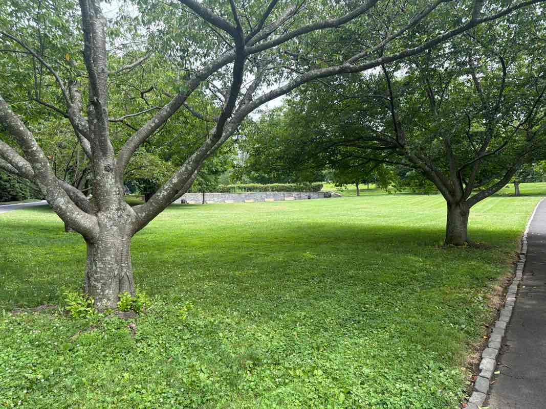 walking near me in Burrow Park in summer