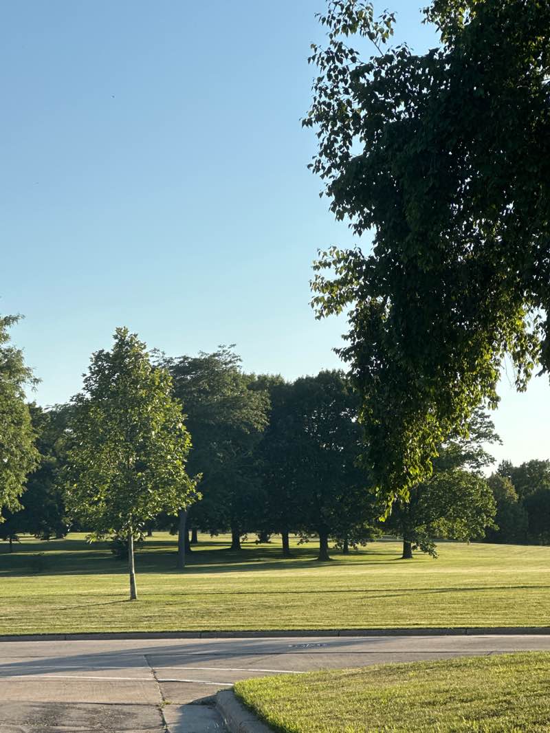 walking near me in Greene Park in summer