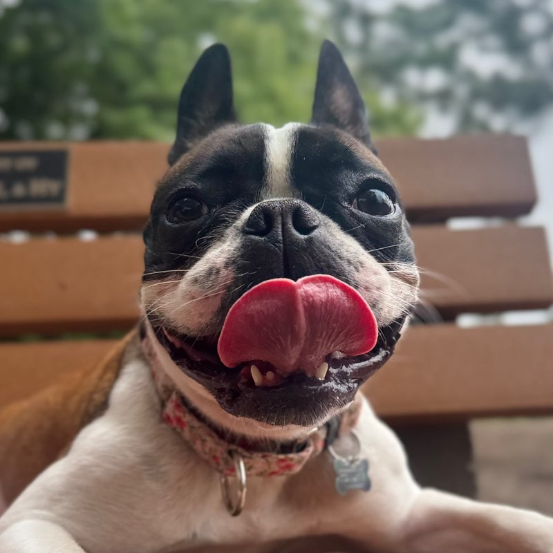 Alex-Marie & Petunia profile