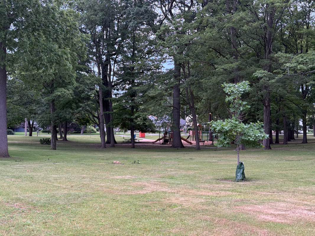 walking near me in Prospect Park in summer