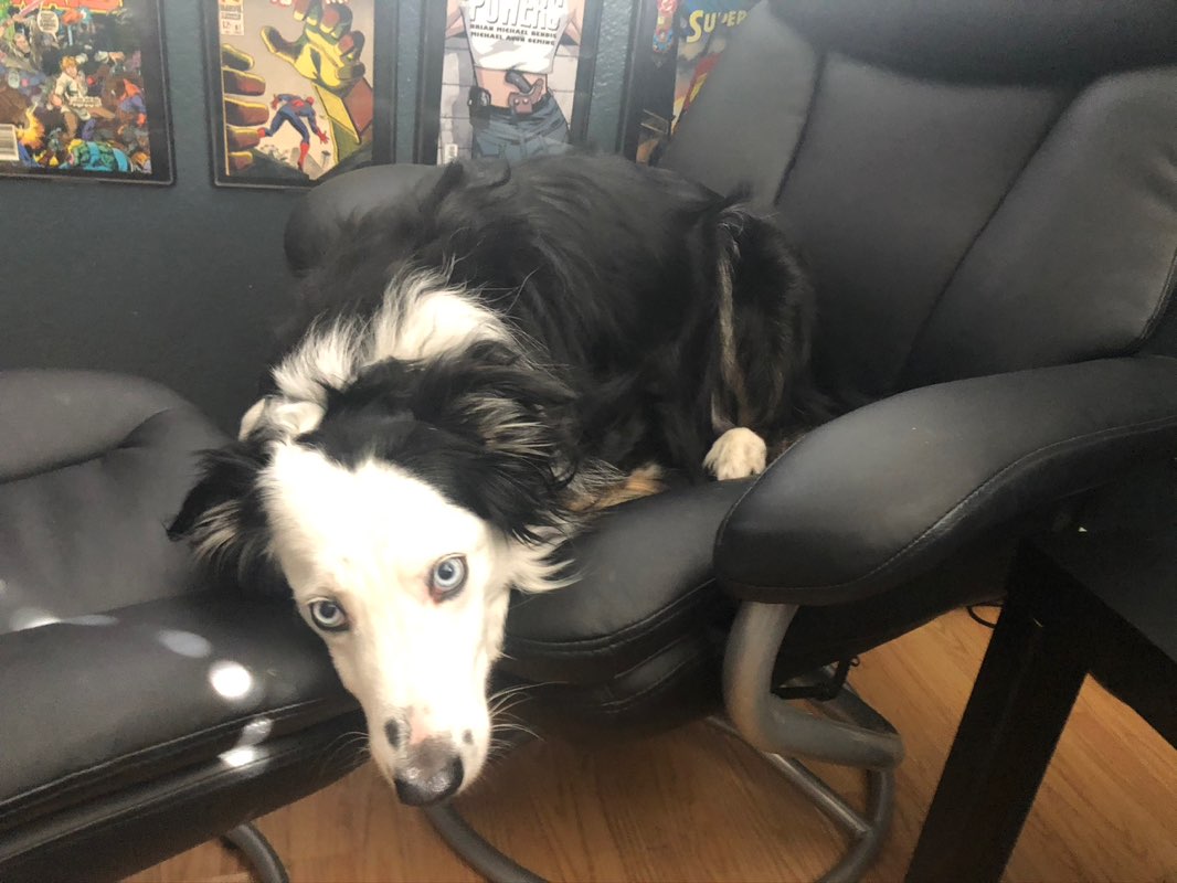 Bob icon
