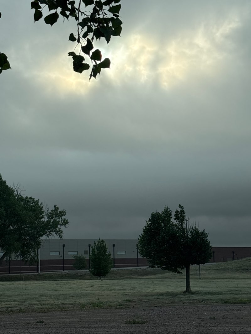 walking near me in Iron Horse Park in summer