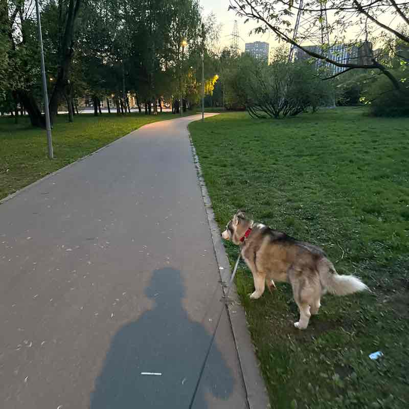 Алексей post 1
