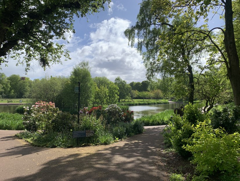 walking near me in Maxwell Park in spring