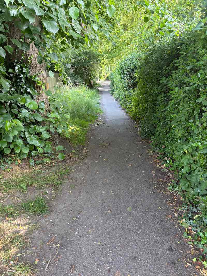 walking near me in Glenmore Park in summer