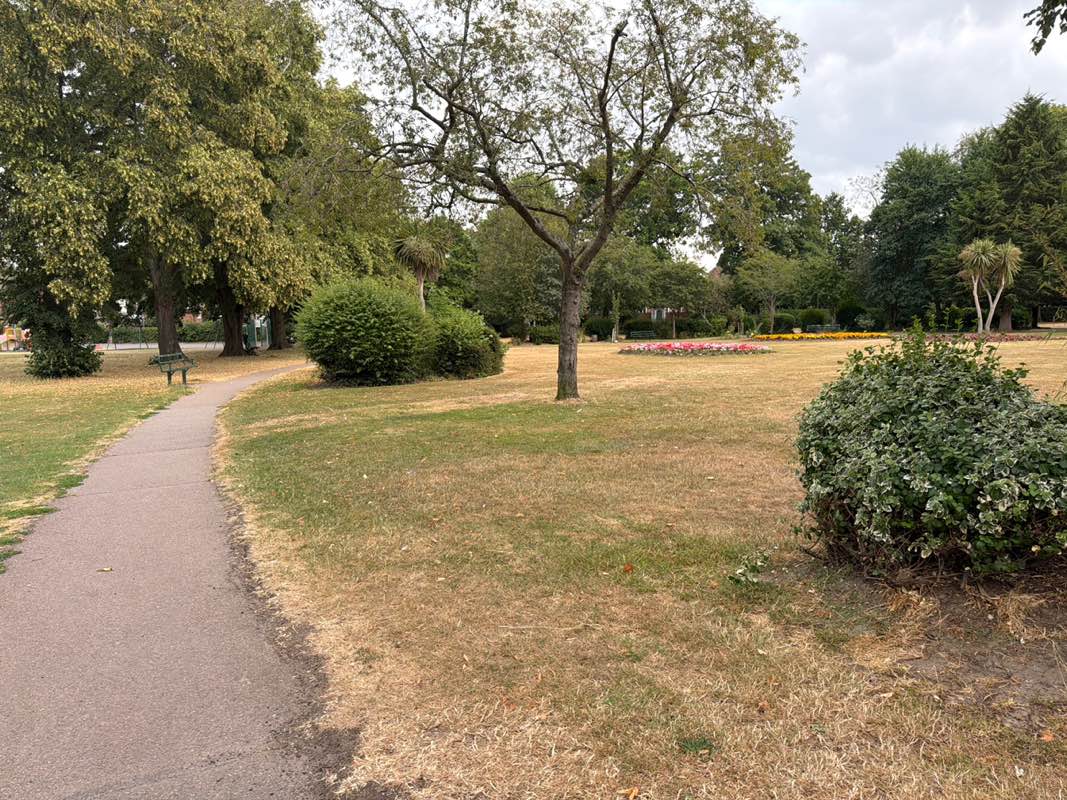 walking near me in Glenmore Park in summer