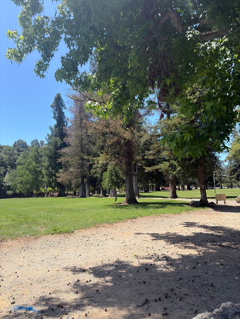walking near me in Christmas Hill Park in summer