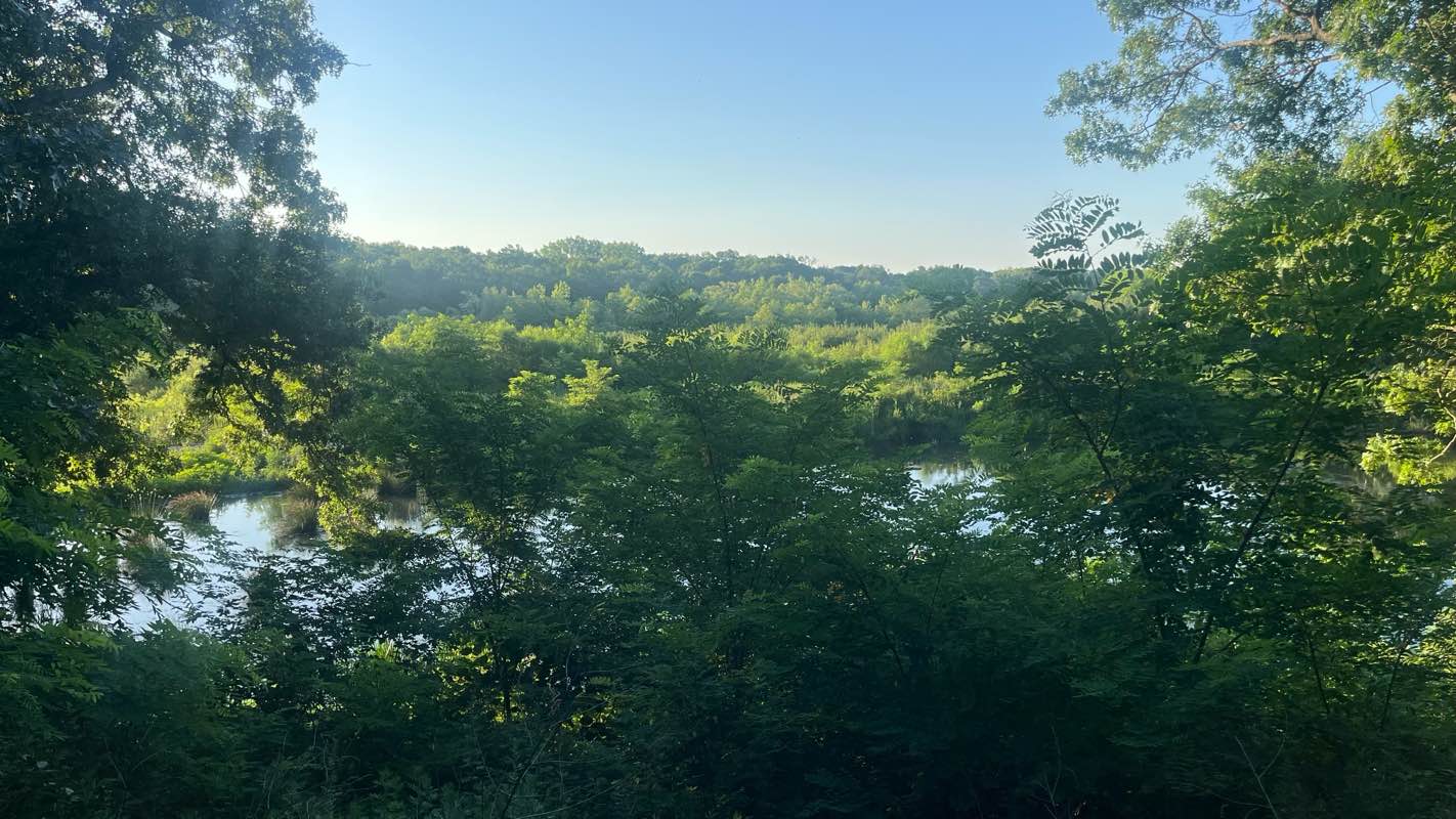 walking near me in Hempstead Lake State Park in summer