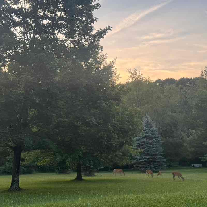 Pennsylvania Nana post image