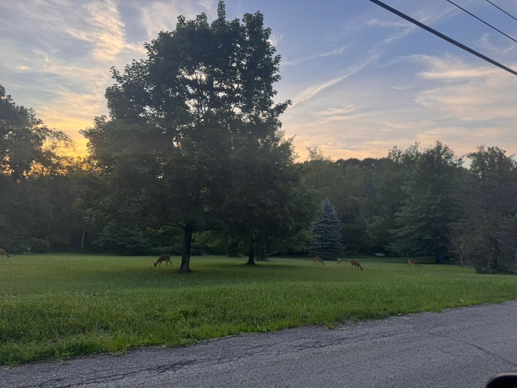 walking near me in Burrell Lake Park in summer