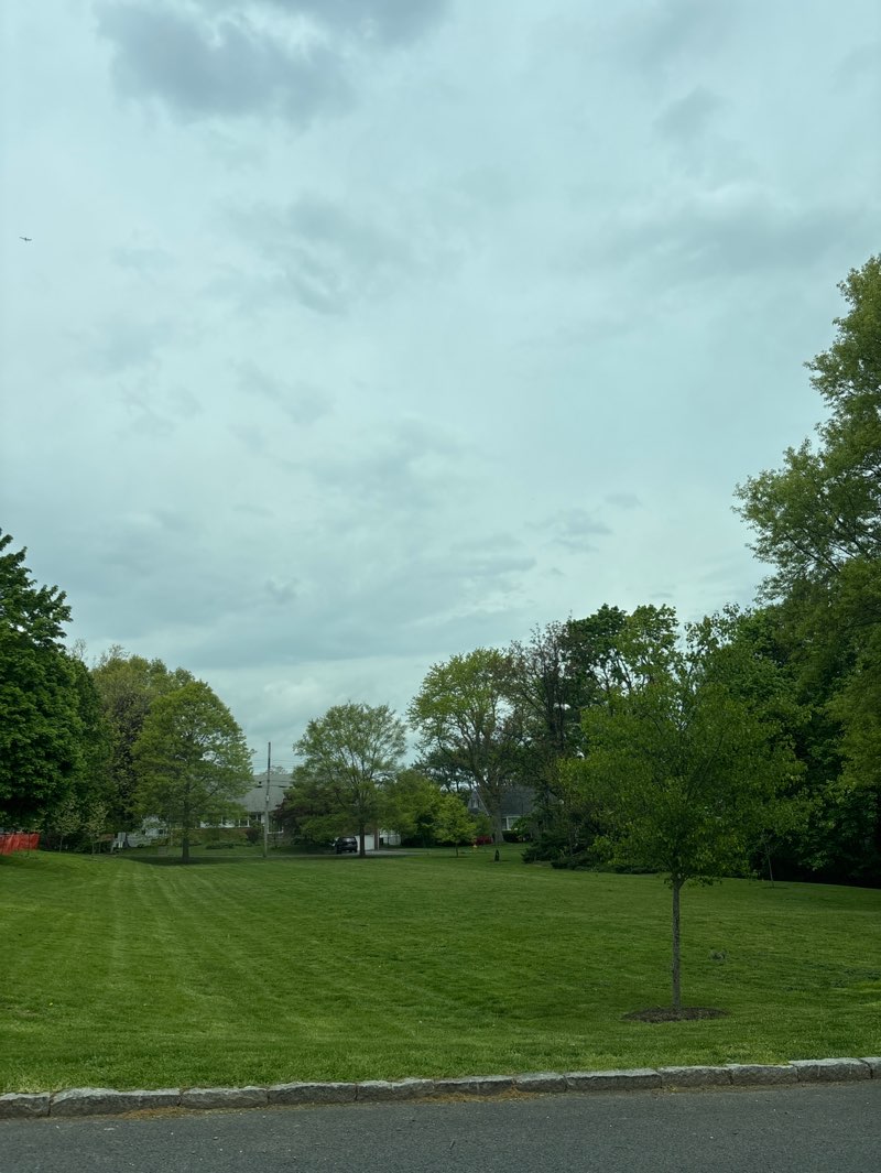 walking near me in Aspen Park in spring