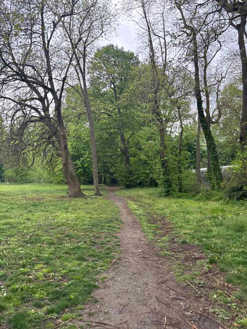walking near me in Scout Field in spring