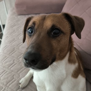 Сергей Мошин profile