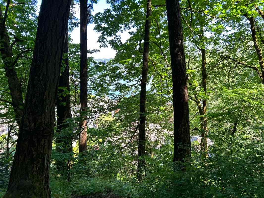 walking near me in Burnside Park in summer