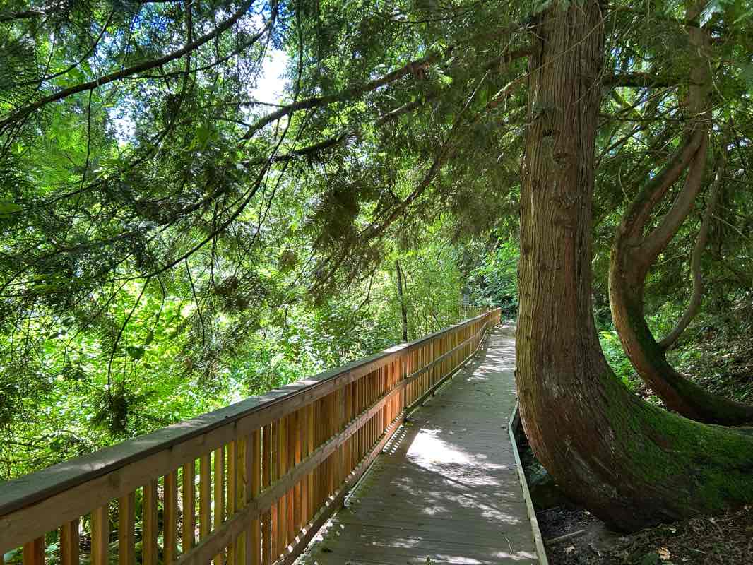 walking near me in Southern Lites Park in summer