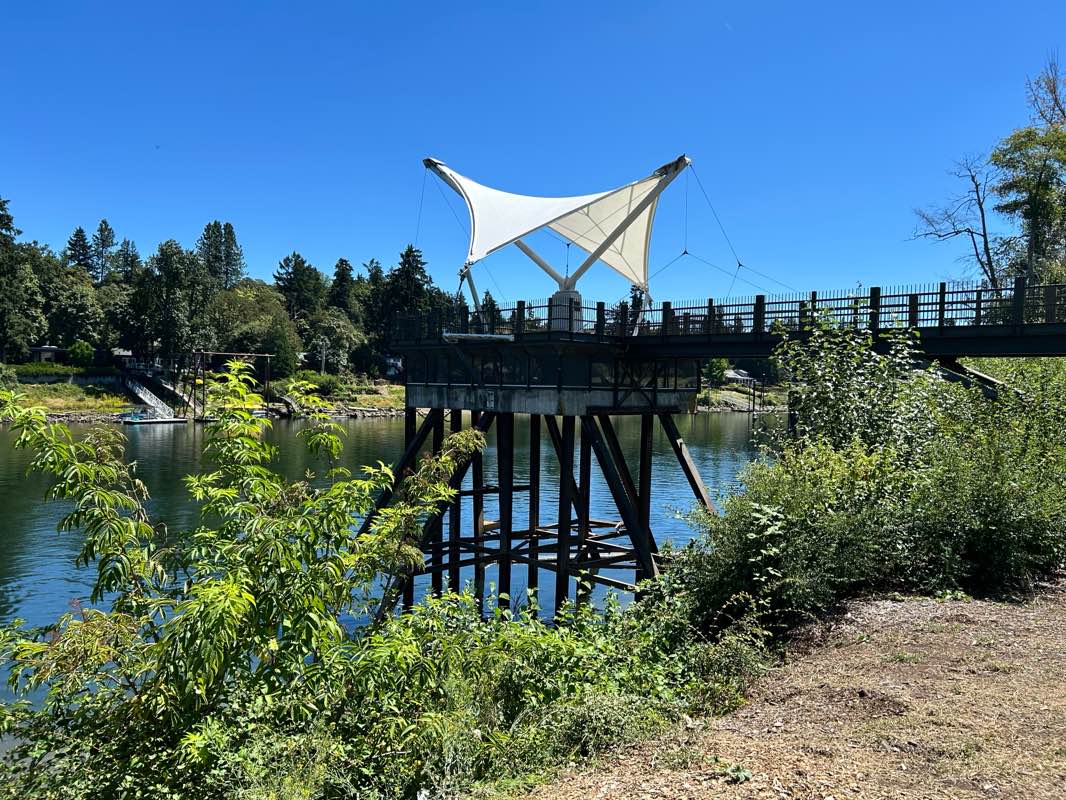 walking near me in Foothills Park in summer