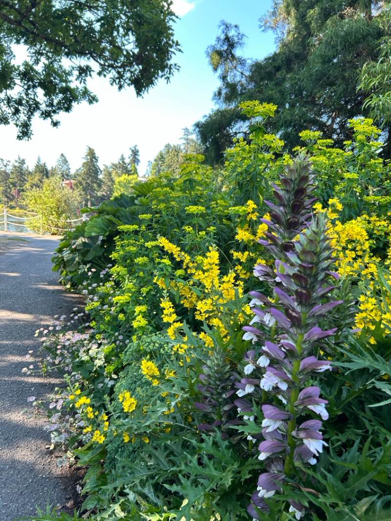 walking near me in Craigflower Farm Historic Site in summer