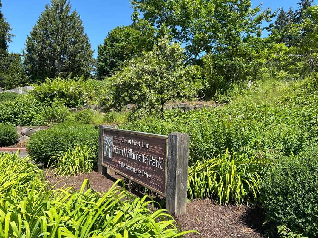 walking near me in North Willamette Neighborhood Park in summer