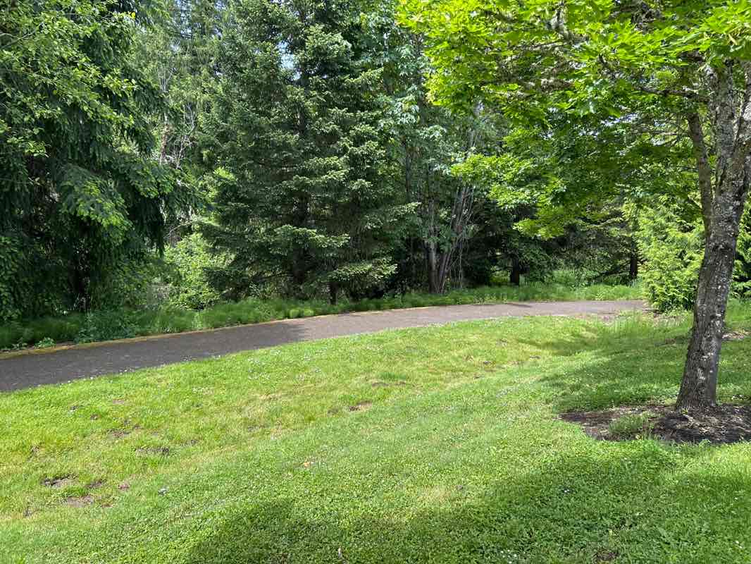 walking near me in Tanner Creek Park in summer