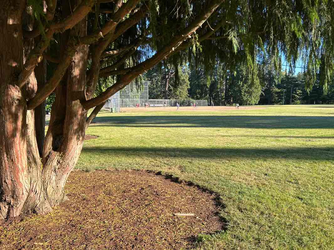 walking near me in Willamette Park in summer