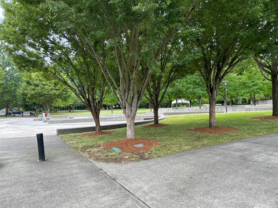 walking near me in Town Center Park in summer
