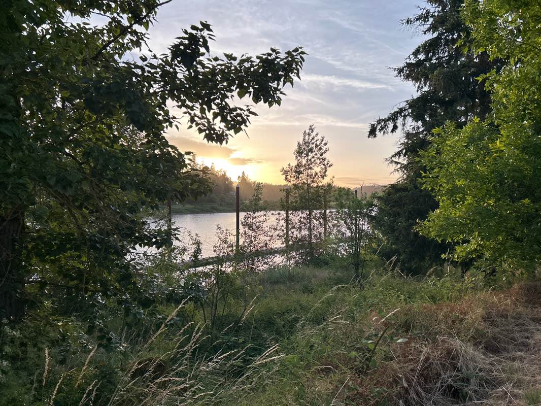 walking near me in Clackamette Park in summer
