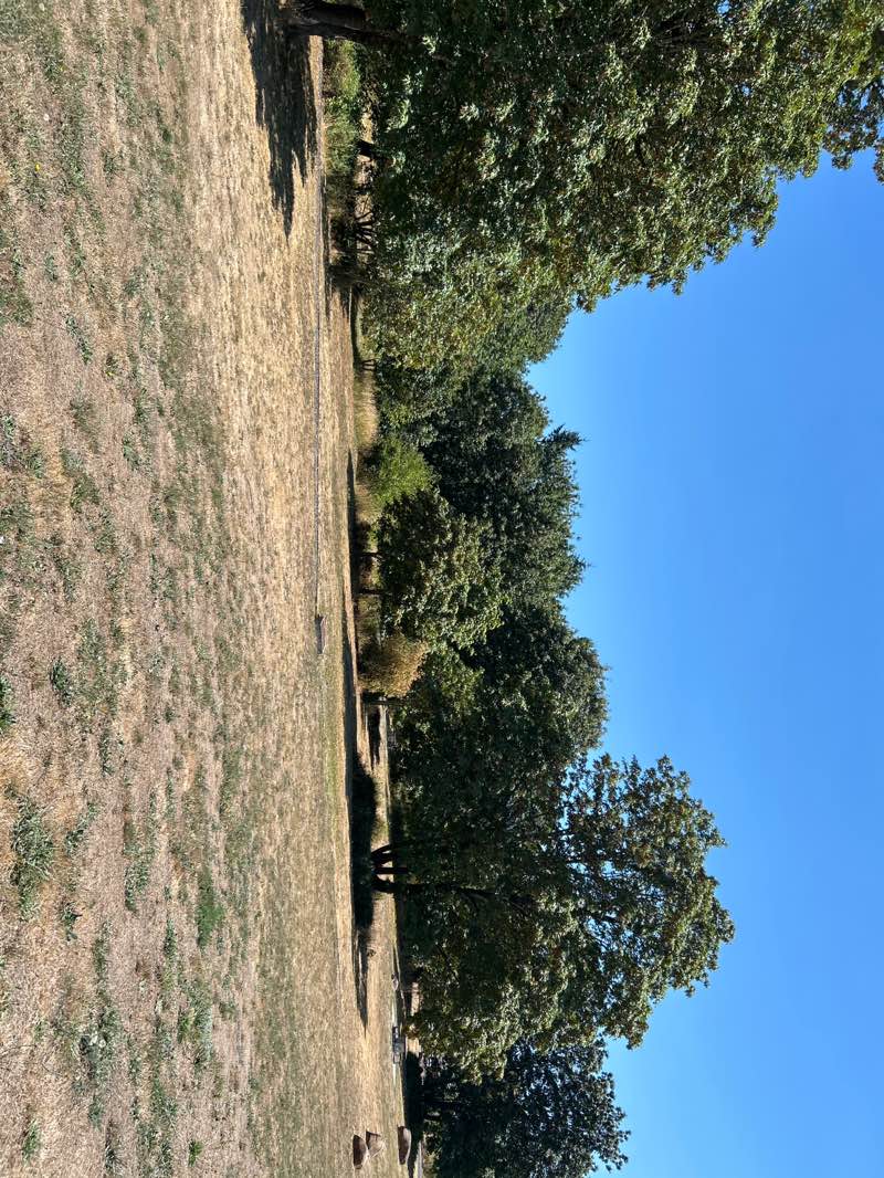 walking near me in Newell Creek Canyon Nature Park in summer
