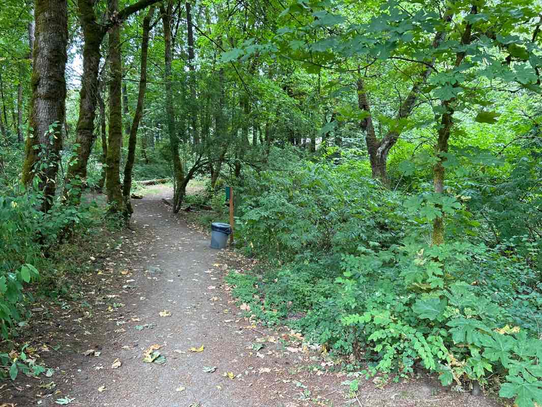 walking near me in Lamont Springs Natural Area in summer