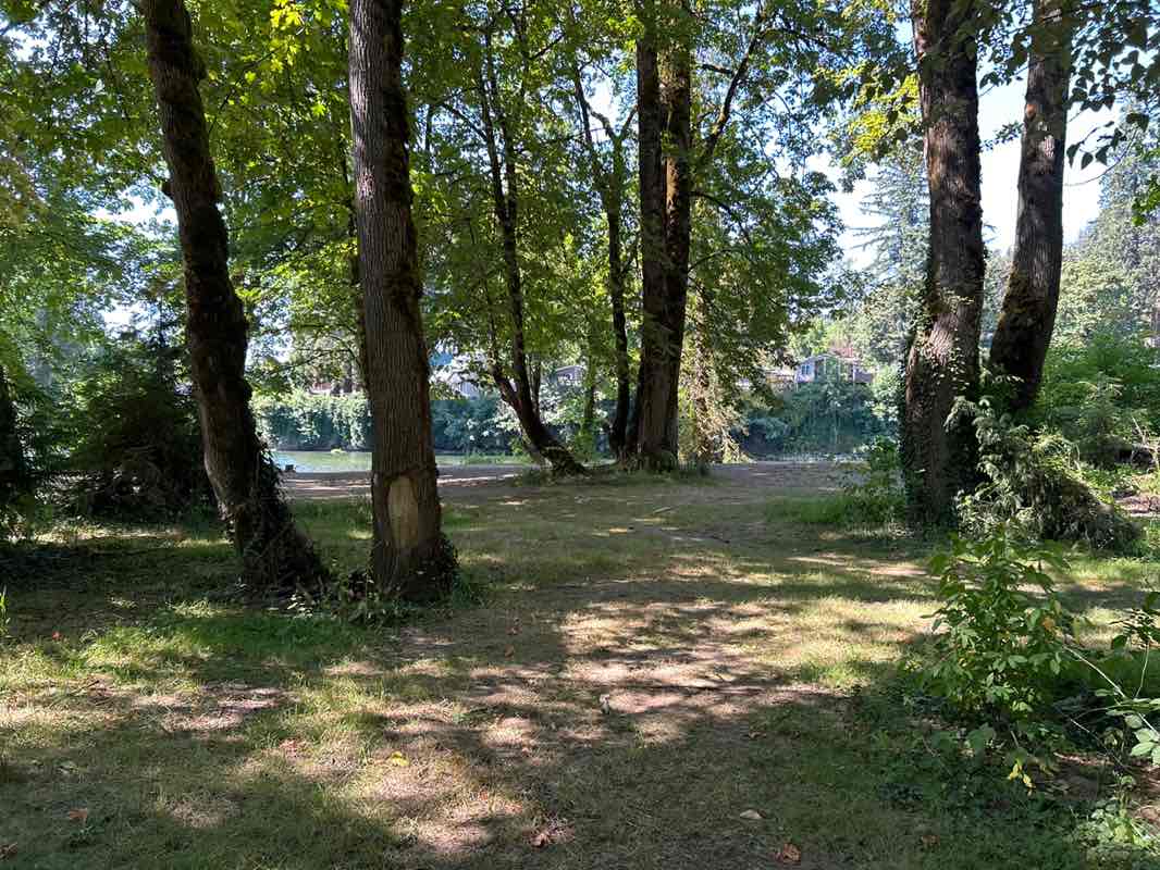 walking near me in Carver Park and Boat Ramp in summer