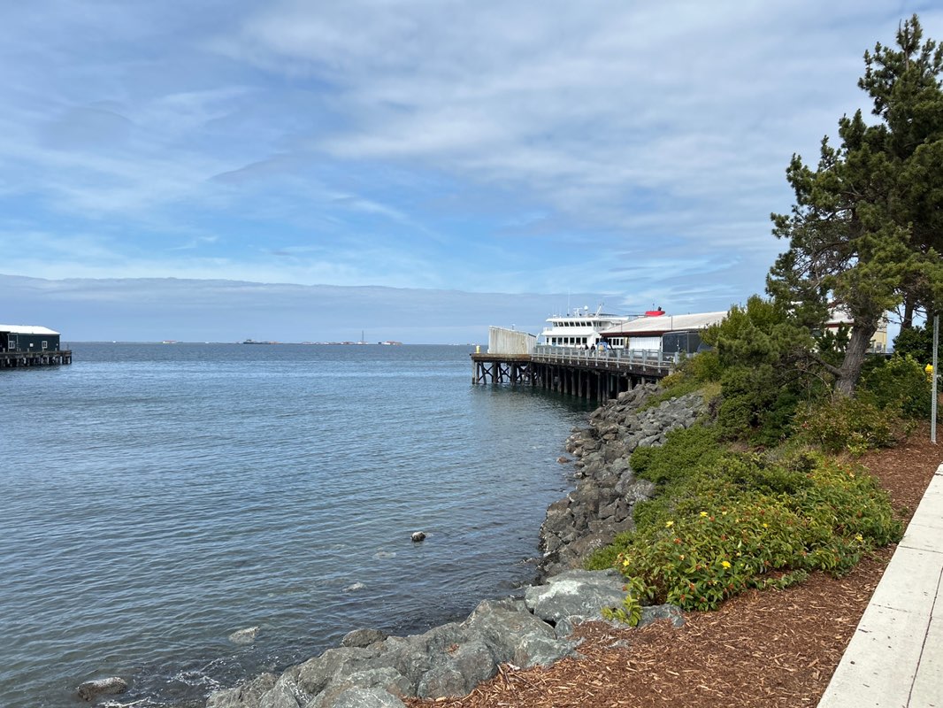 walking near me in 9/11 Memorial Waterfront Park in summer