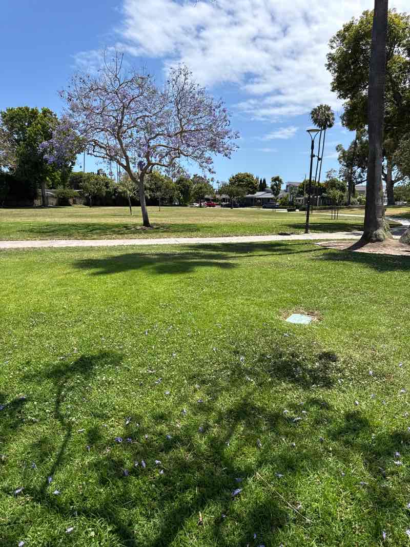 walking near me in Heller Park in summer
