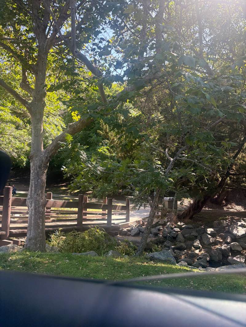 walking near me in Sycamore Canyon Park in summer