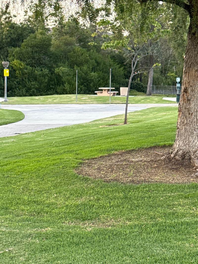 walking near me in Kellogg Park in spring