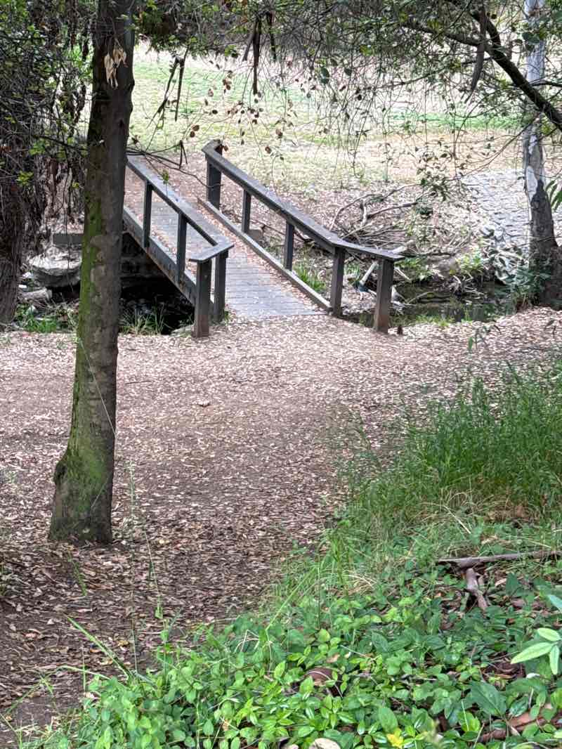 walking near me in Gilman Park in spring